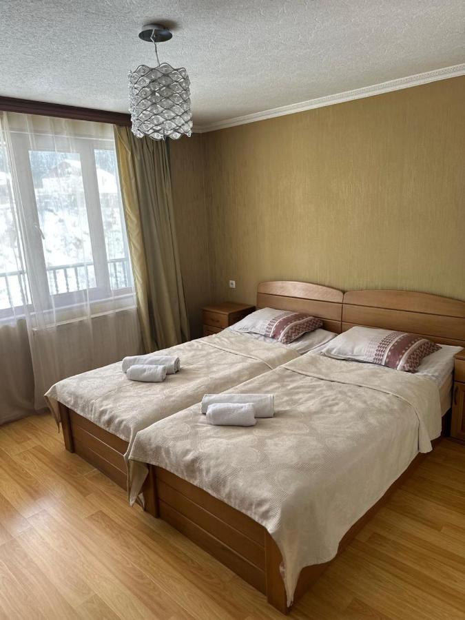 Hotel Ushba In Mestia 4*, фото 10