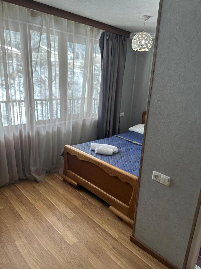 Hotel Ushba In Mestia 4*, фото 13