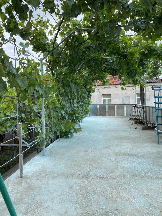 Next Green Apartments, фото 6