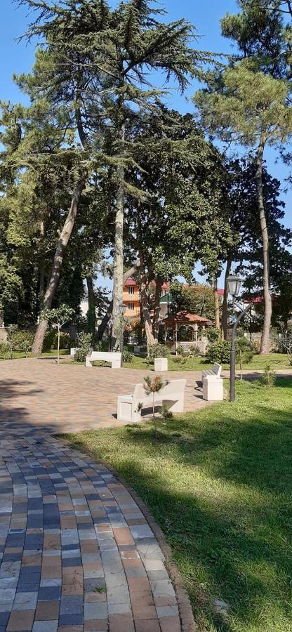Savane Hotel Kobuleti 3*, фото 10