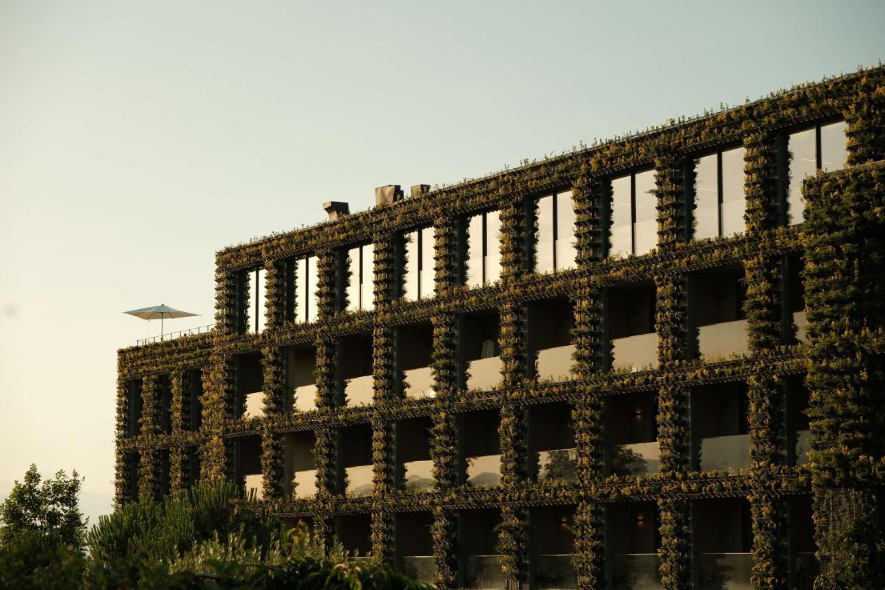 Tsinandali Estate, A Radisson Collection Hotel 5*, фото 15