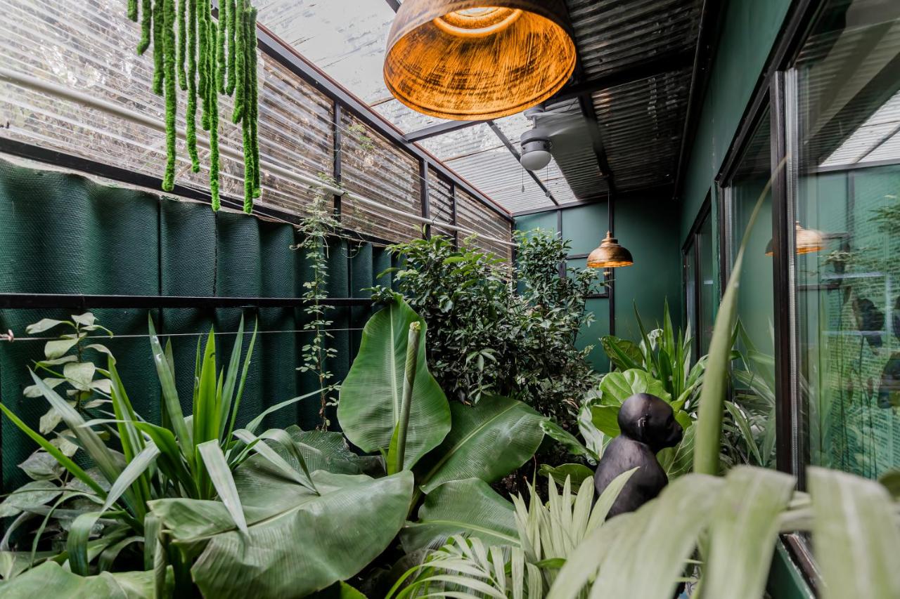 Green Cape, фото 12