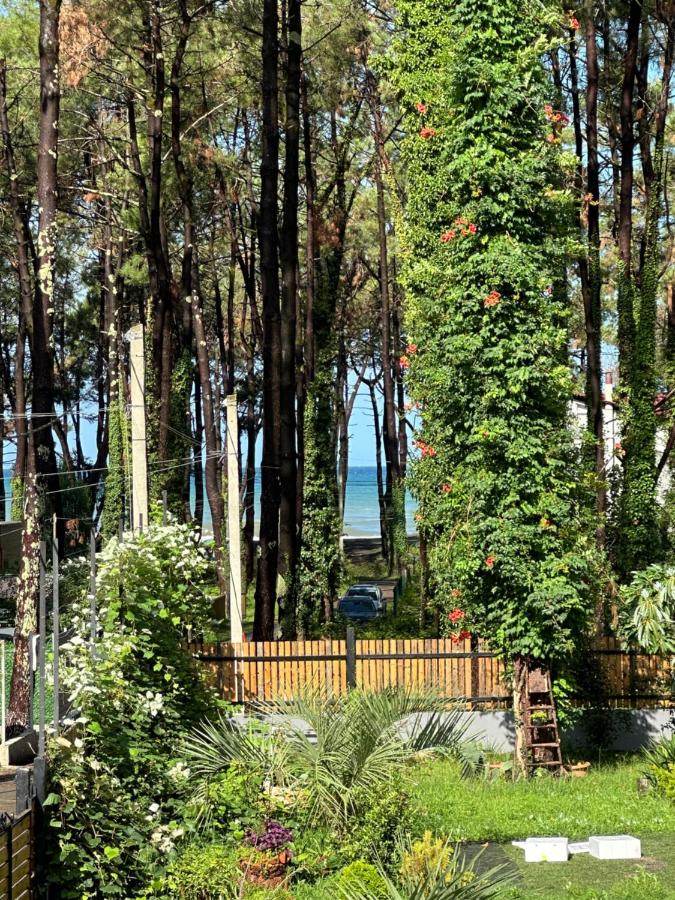 House by the sea Kaprovani Shekvetili Batumi 3*, фото 4