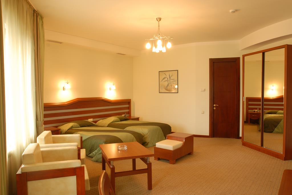 Vedzisi Hotel 4*, фото 16