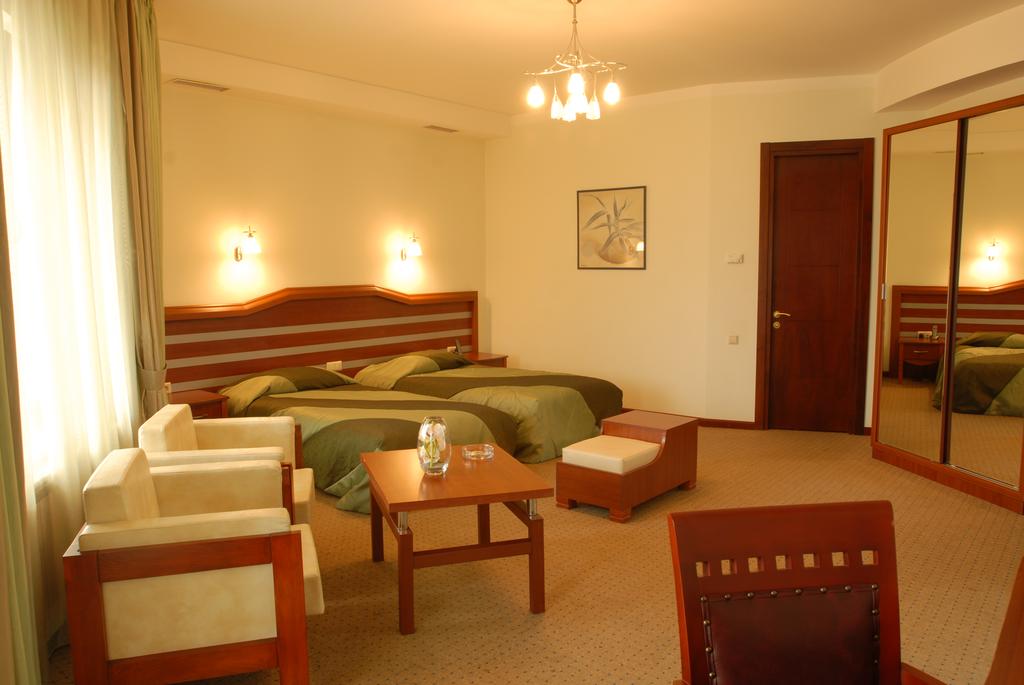 Vedzisi Hotel 4*, фото 3