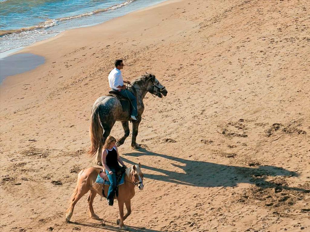 Grecotel Ilia Palms 4*, фото 12