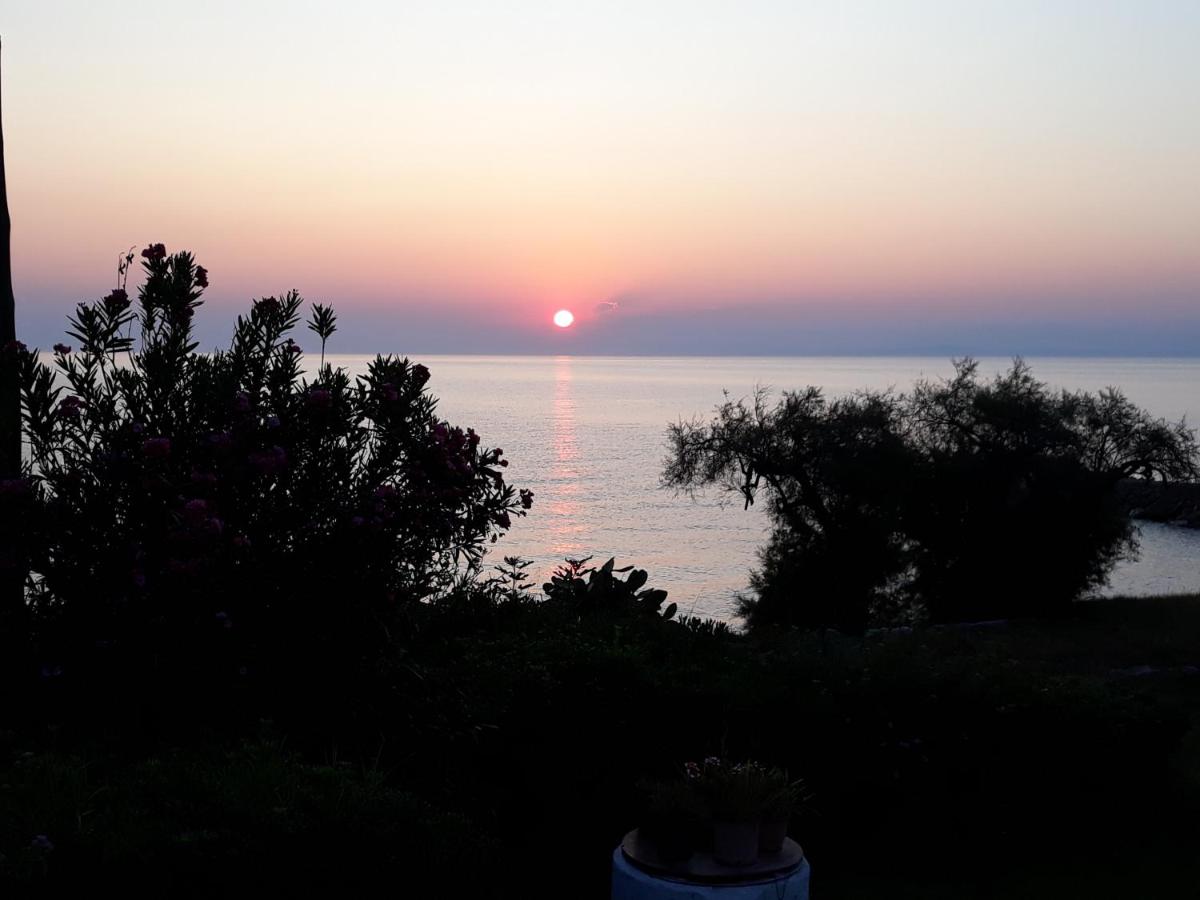 Creta Beach & Bungalows 4*, фото 15