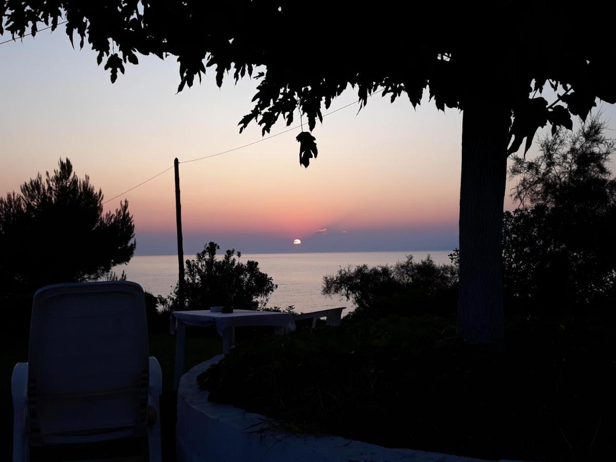 Creta Beach & Bungalows 4*, фото 16