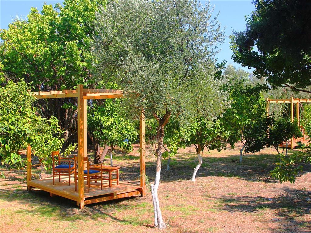Corfu Senses Resort 3*, фото 12