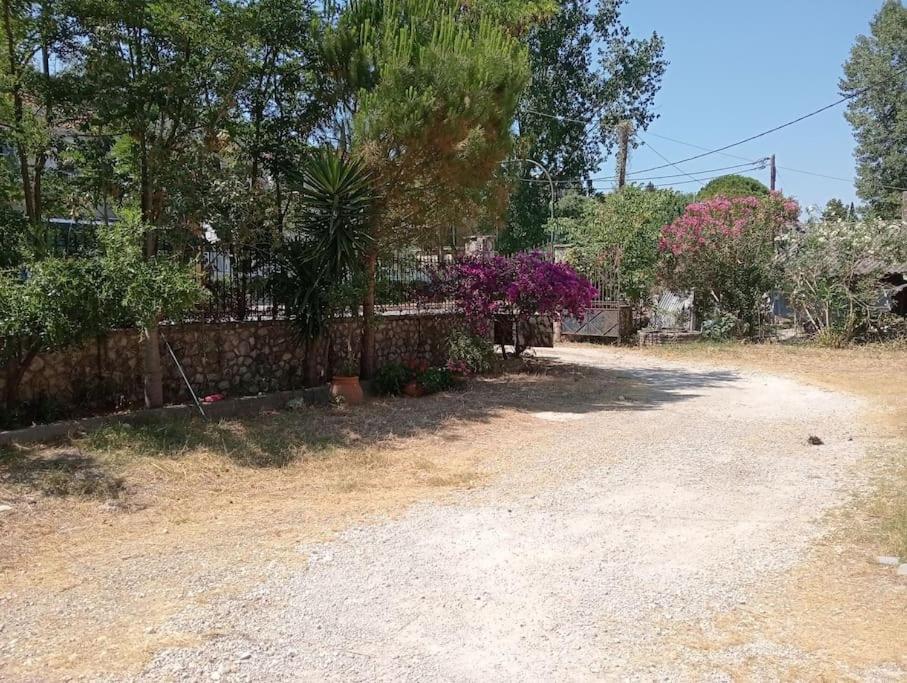 Spiros - Soula 3*, фото 14