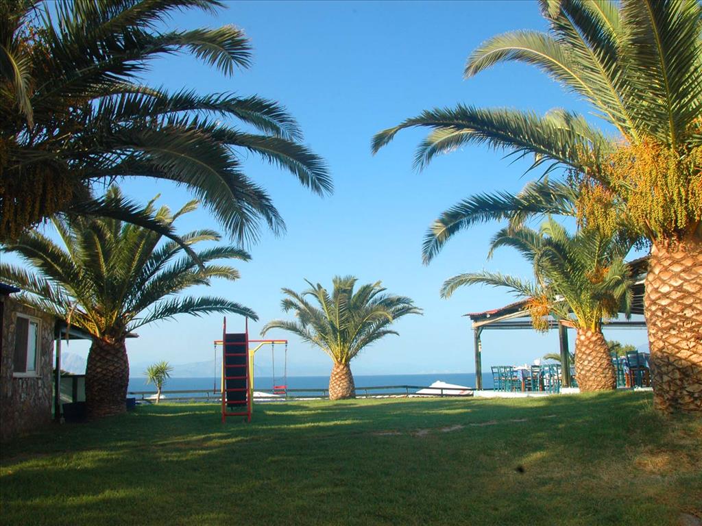 Koralli Beach Hotel 2*, фото 11
