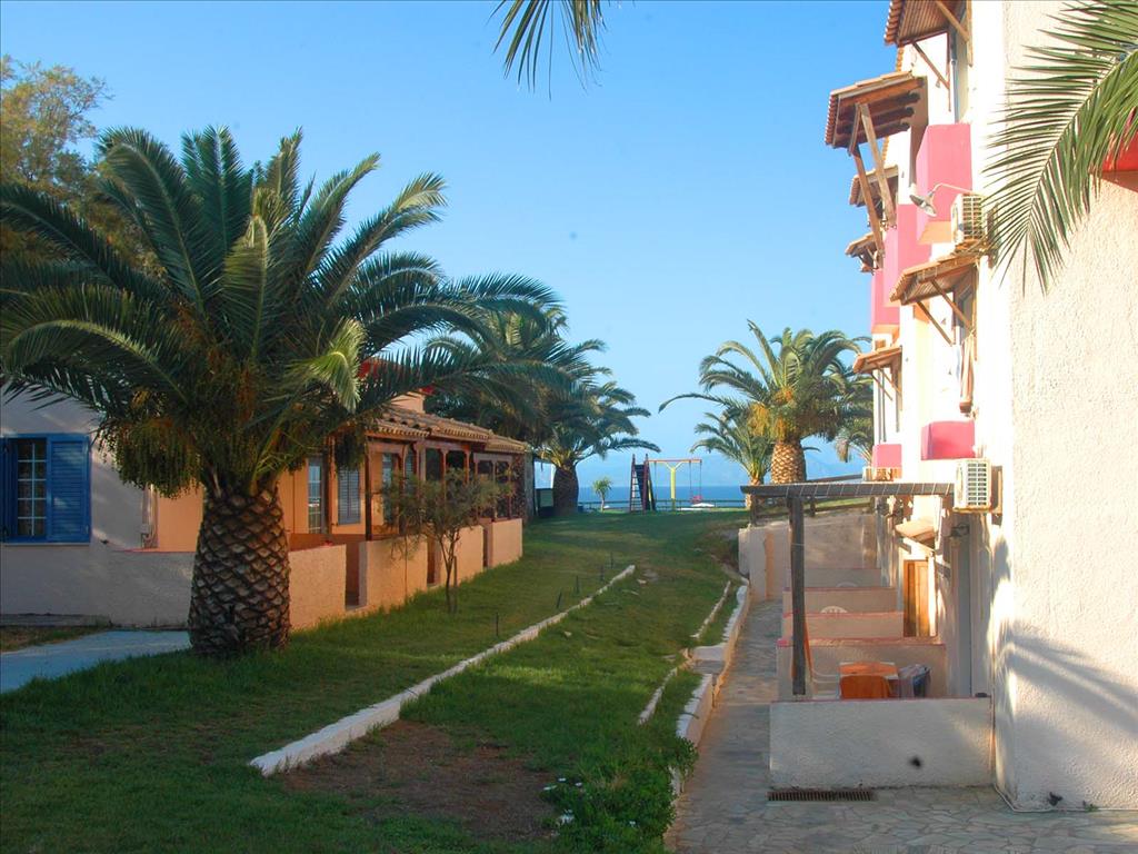 Koralli Beach Hotel 2*, фото 12