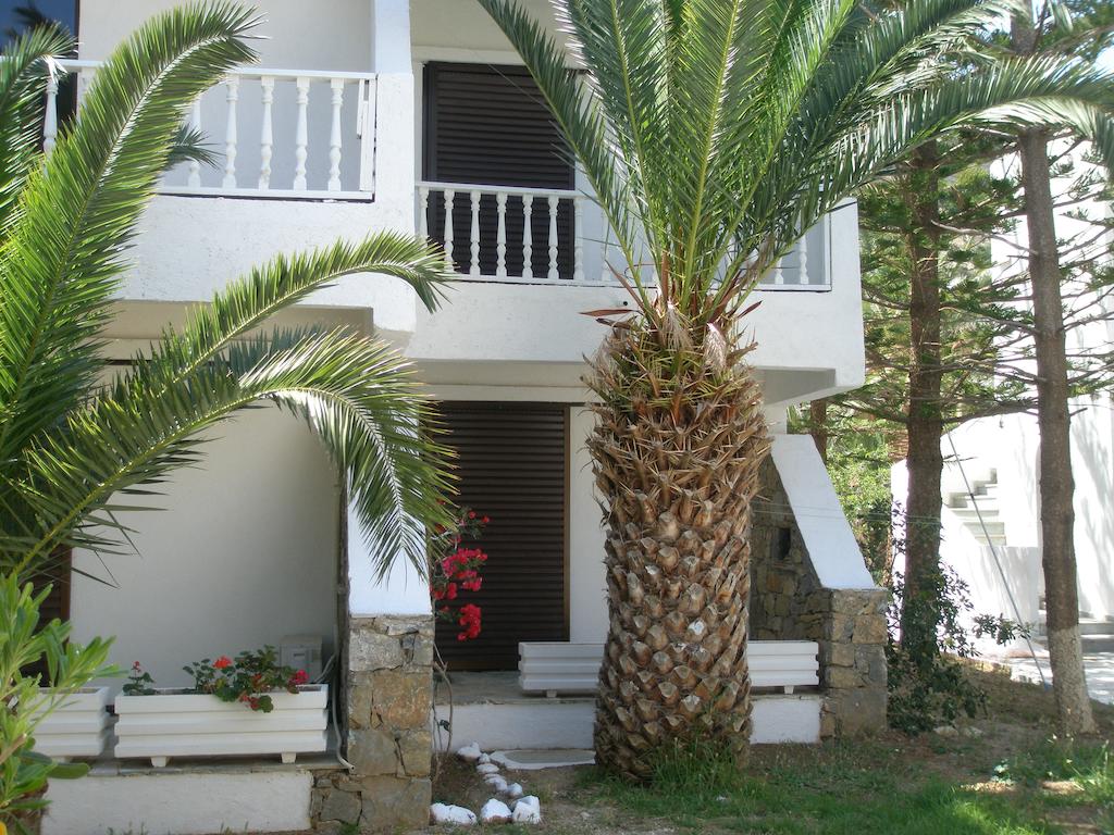 Avra Palm 3*