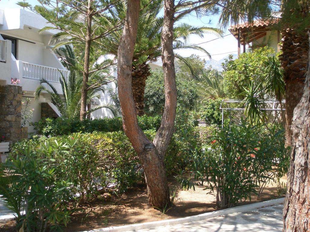 Avra Palm 3*, фото 2