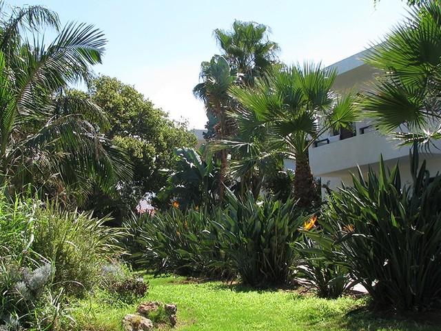 Kyknos Beach Hotel & Bungalows 4*, фото 15