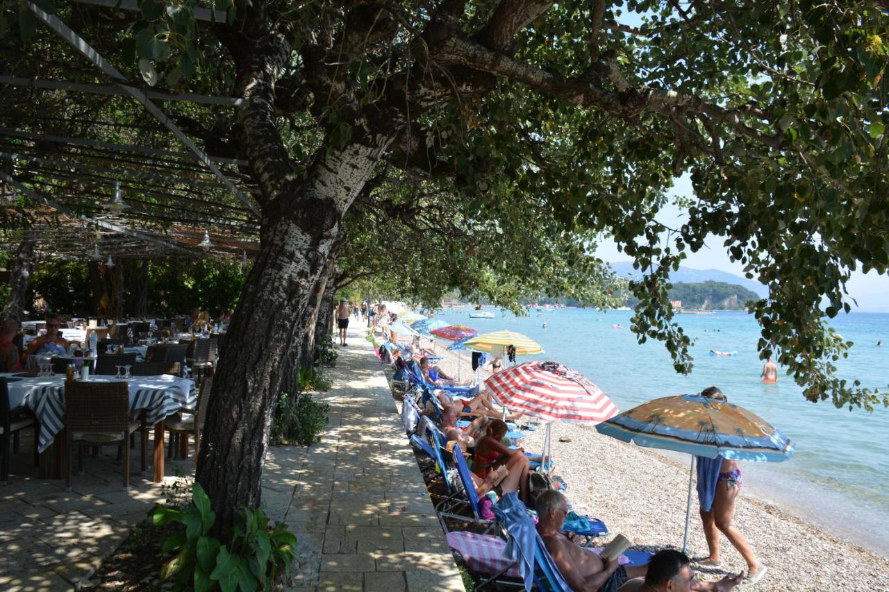 Dassia Beach 2*, фото 15