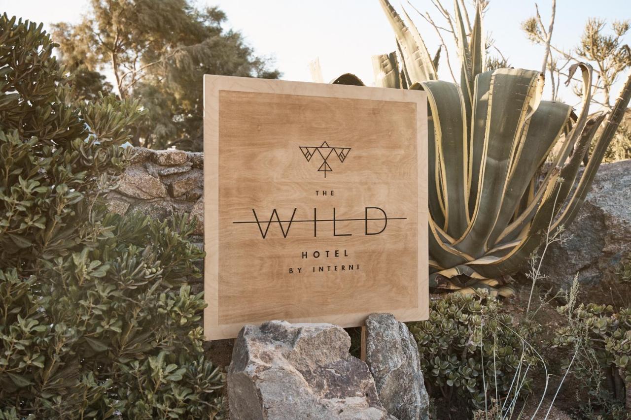 THE WILD BY INTERNI 5*, фото 4