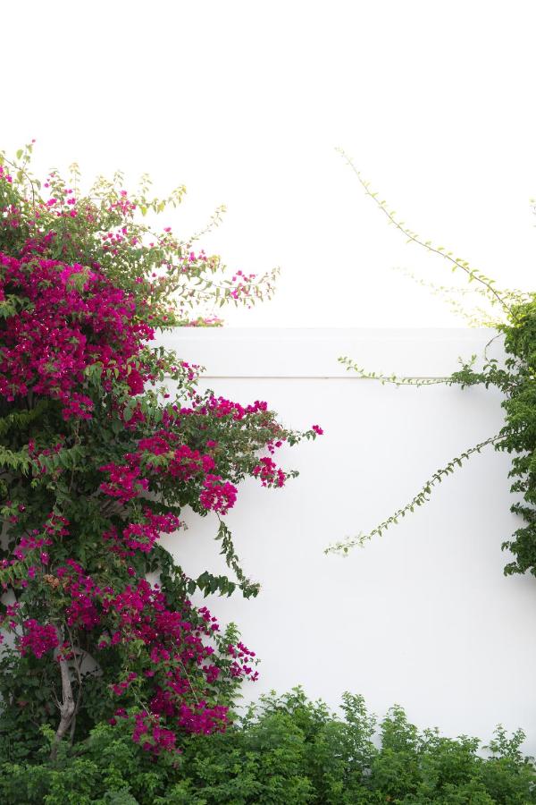Pelagos Suites & SPA 5*, фото 6