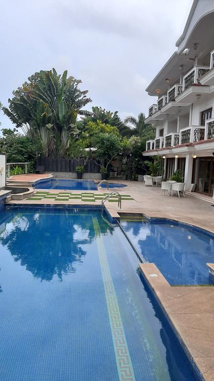 White Pearl Suites 3*, фото 2