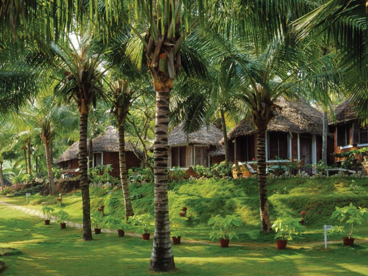 Manaltheeram Ayurveda Beach Village (Kerala) 3*, фото 6