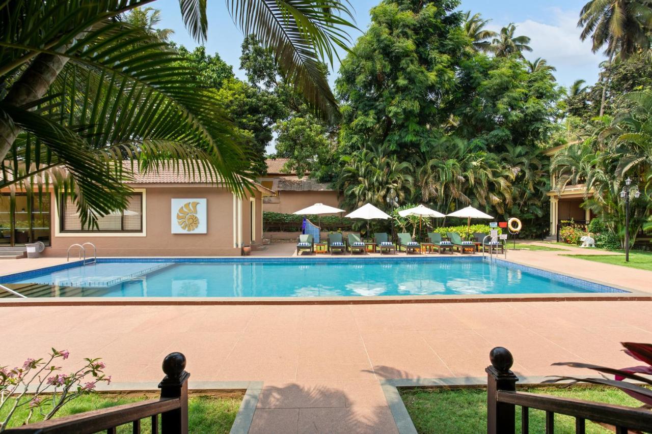 Seashell Suites & Villas 4*, фото 4