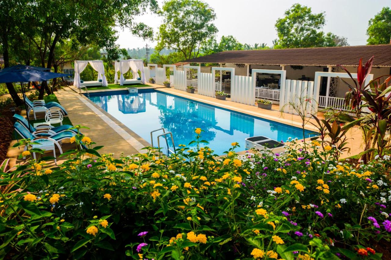 White Wood Resort Morjim 3*, фото 3