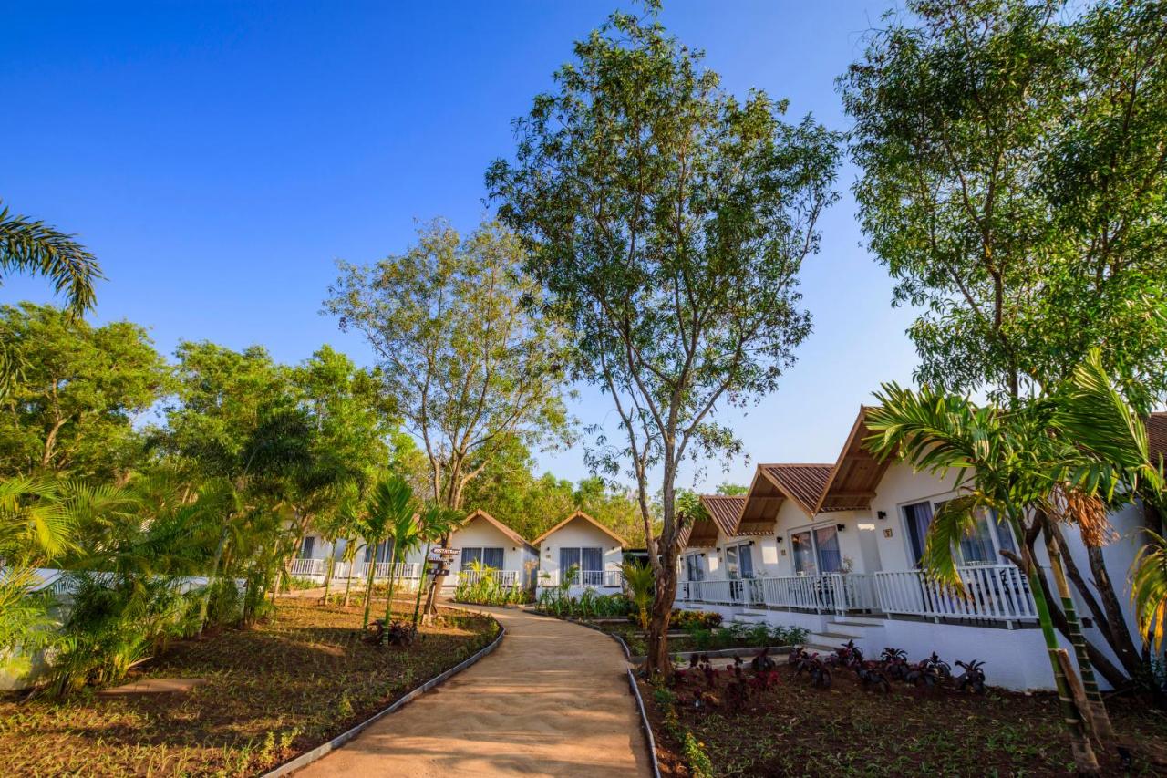 White Wood Resort Morjim 3*, фото 8
