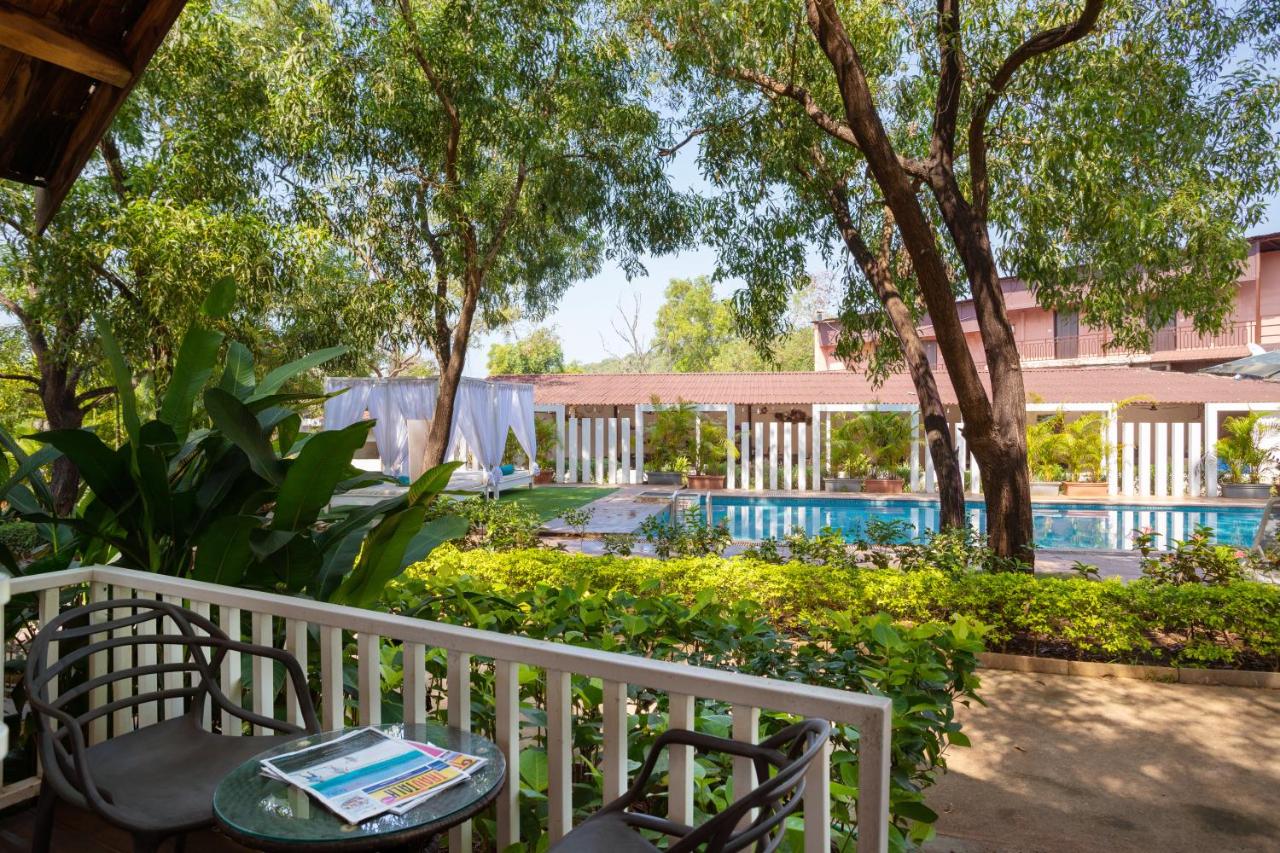 White Wood Resort Morjim 3*, фото 9