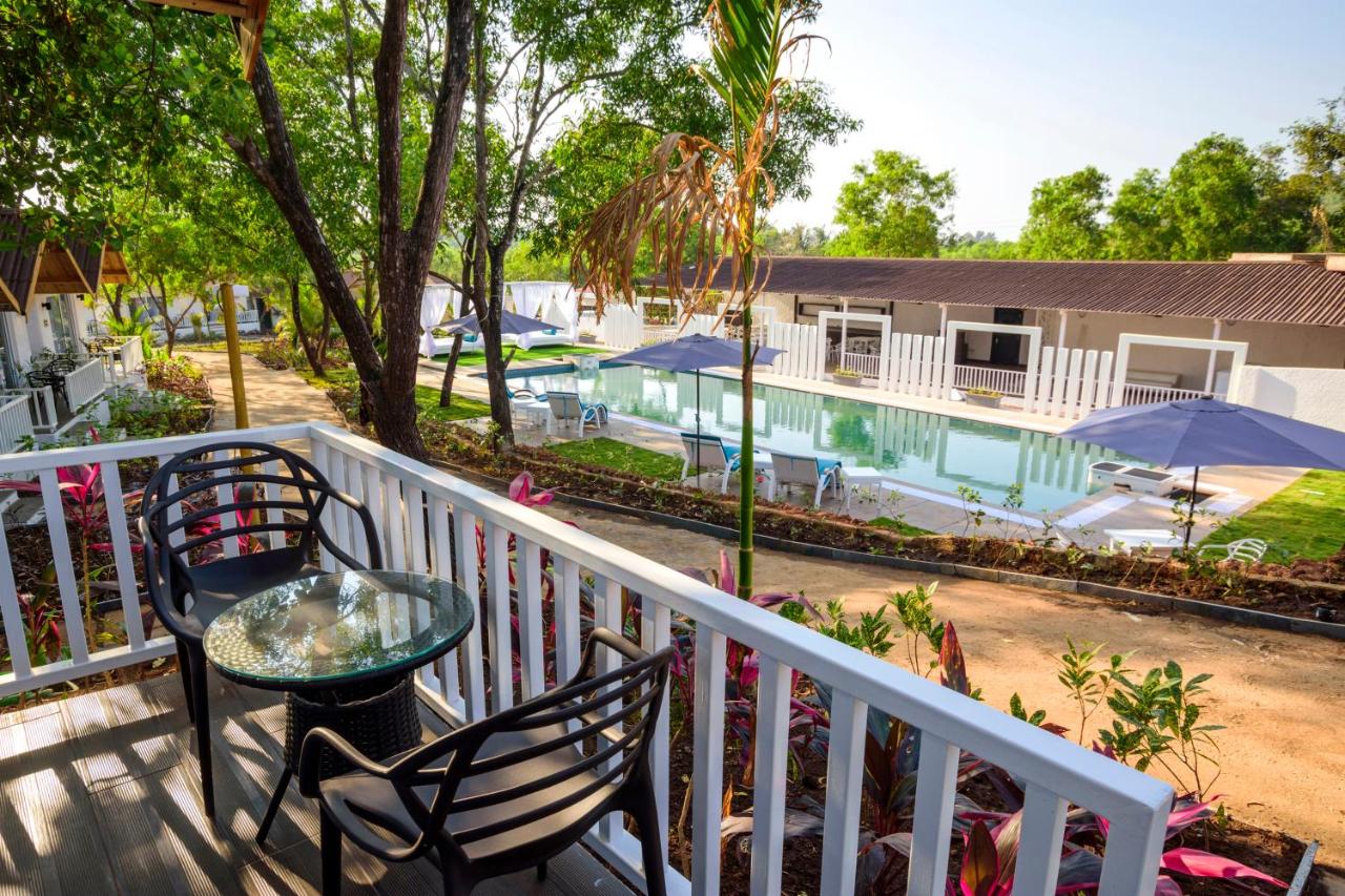 White Wood Resort Morjim 3*, фото 11
