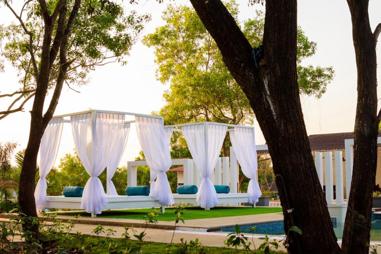 White Wood Resort Morjim 3*, фото 13