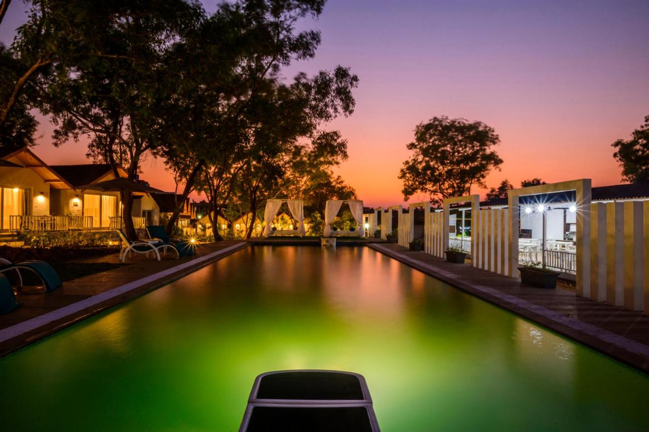 White Wood Resort Morjim 3*, фото 14