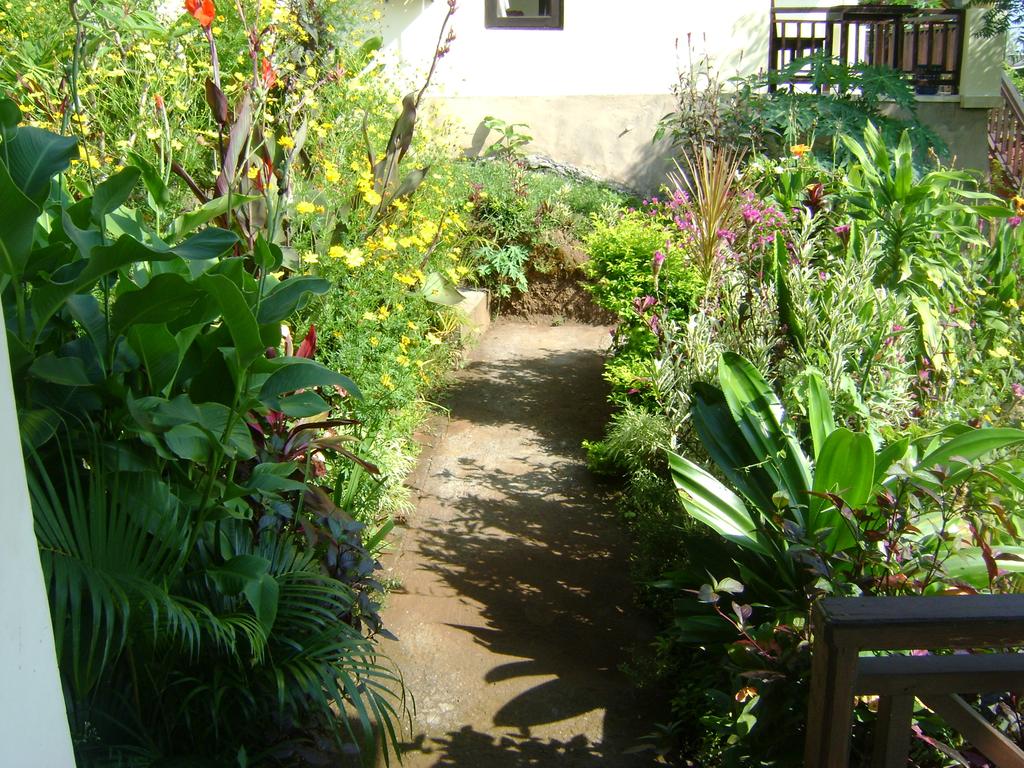 Sinar Bali Bungalow 2*, фото 8