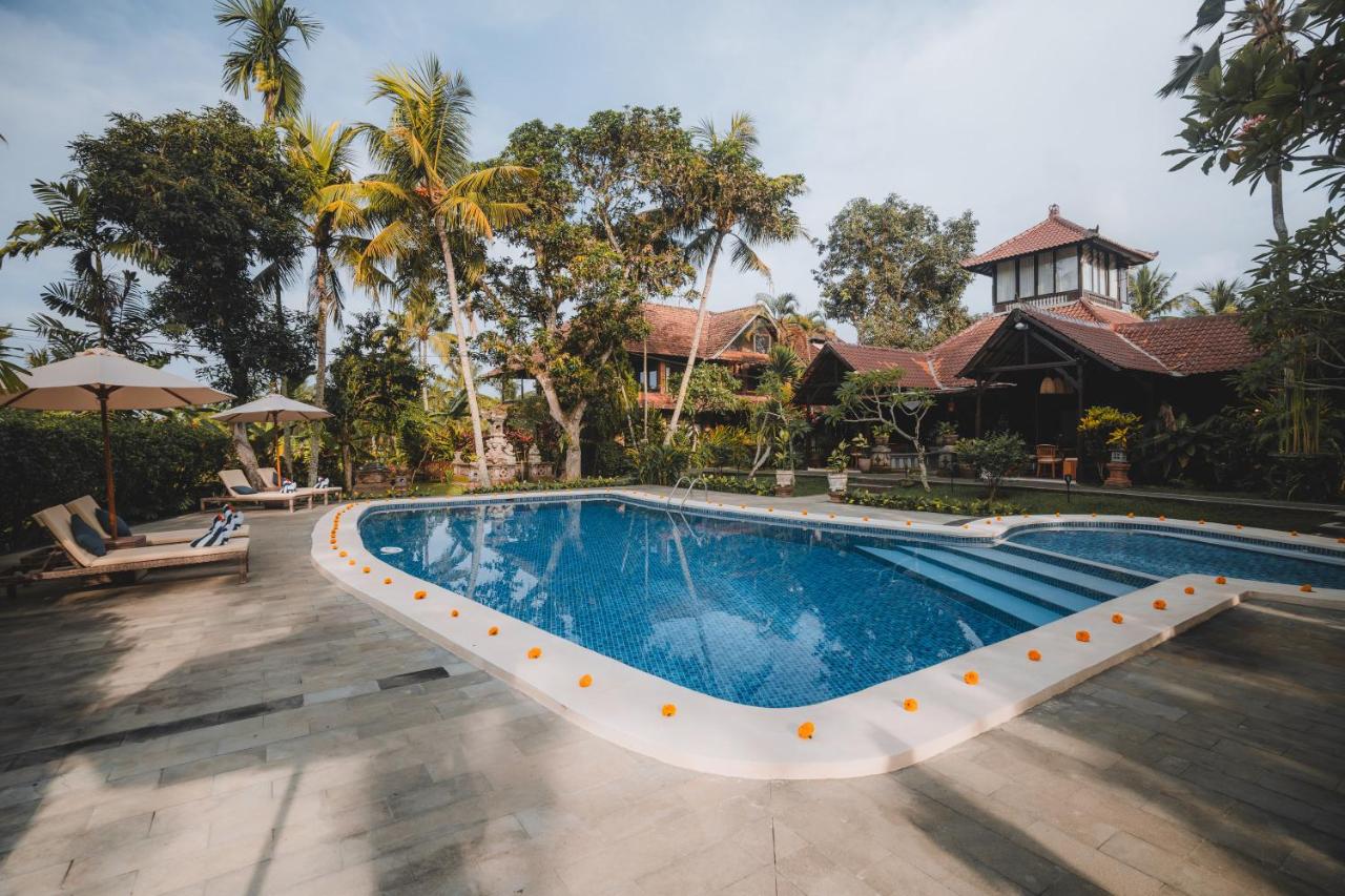 Revivo Wellness Resort 5*, фото 3