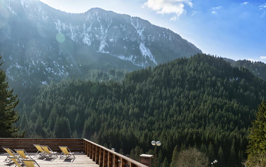 Club Hotel Regina E Fassa 3*