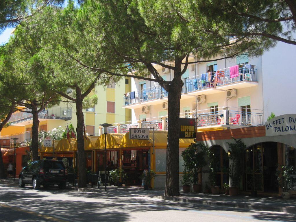 Hotel Canova 3*