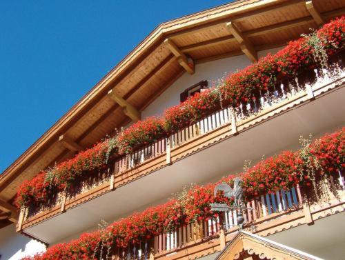 Cristallo Hotel Vigo di Fassa 3*, фото 11