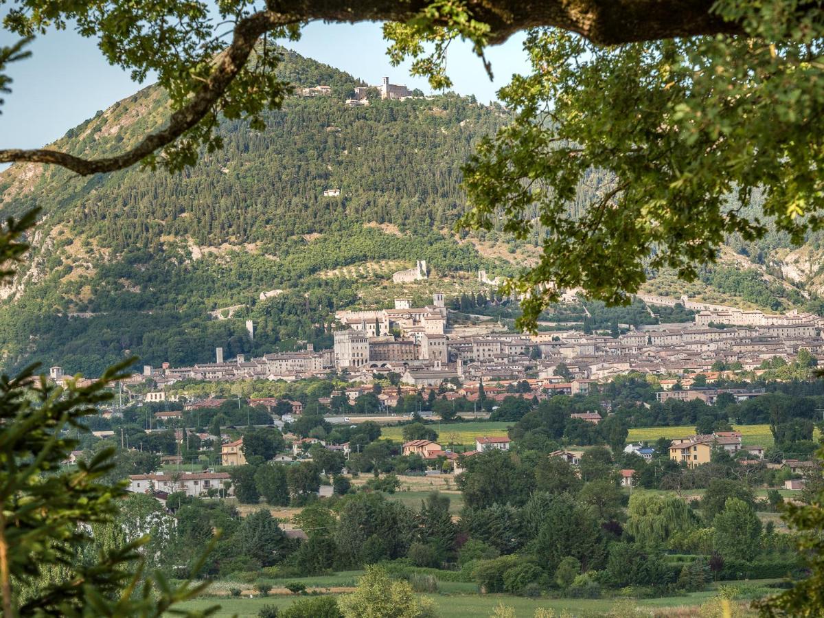 Villa Montegranelli 3*, фото 16