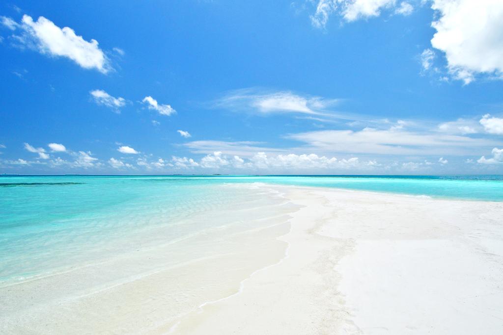 Ranveli Island Resort 4*, фото 12
