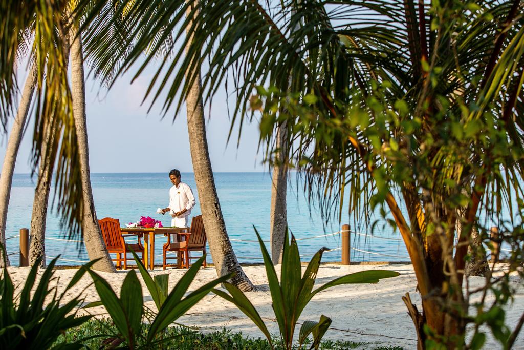 Palm Beach Resort & Spa 4*, фото 11