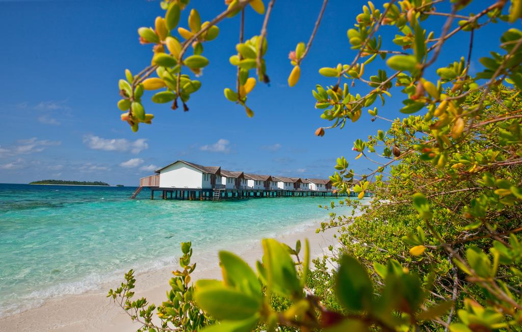 Reethi Beach Resort 4*, фото 8