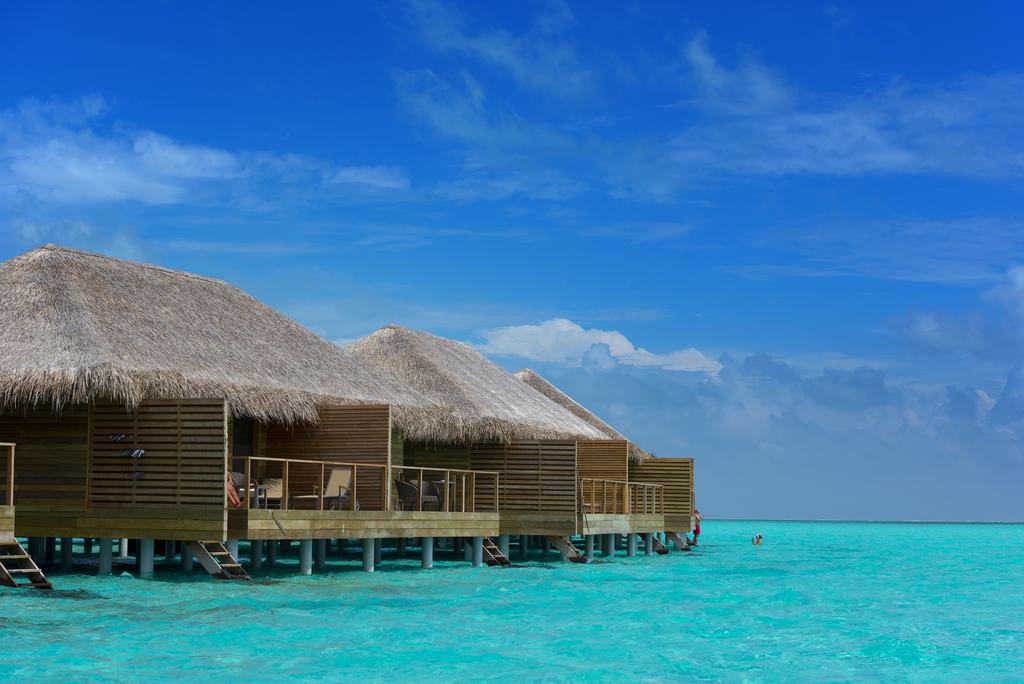 Сocoon Maldives 5*, фото 12