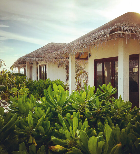 Cocogiri Island Resort 4*, фото 7