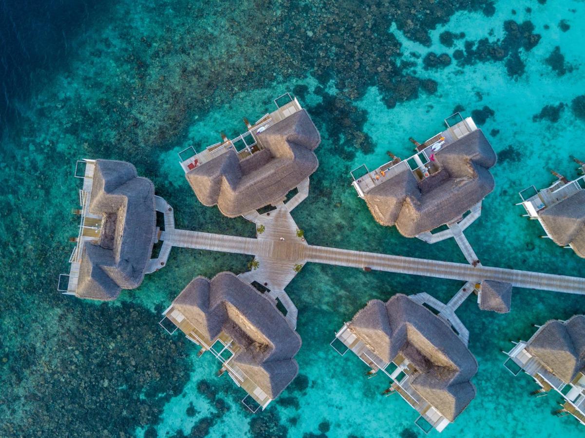 Machchafushi Island Resort & Spa 5*, фото 7