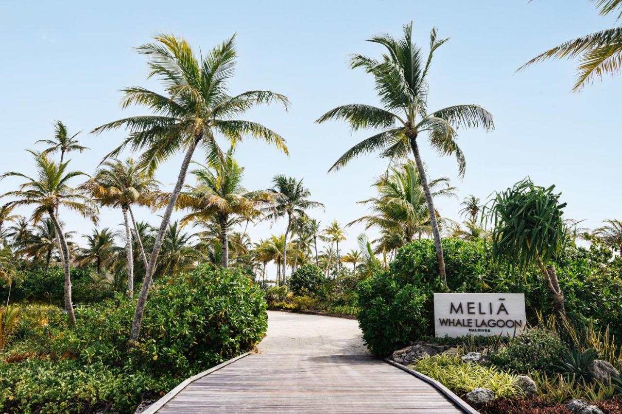 Melia Whale Lagoon 5*