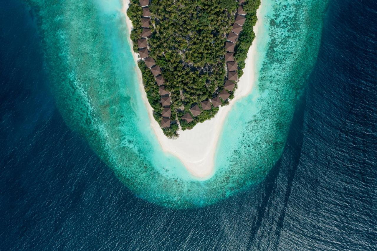 Avani+Fares Maldives Resort 5*, фото 2