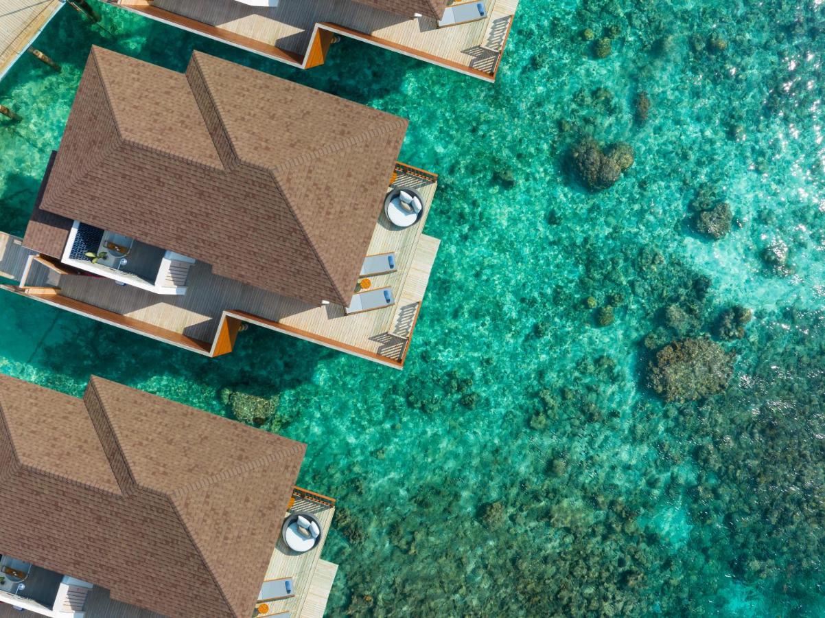 Avani+Fares Maldives Resort 5*, фото 3