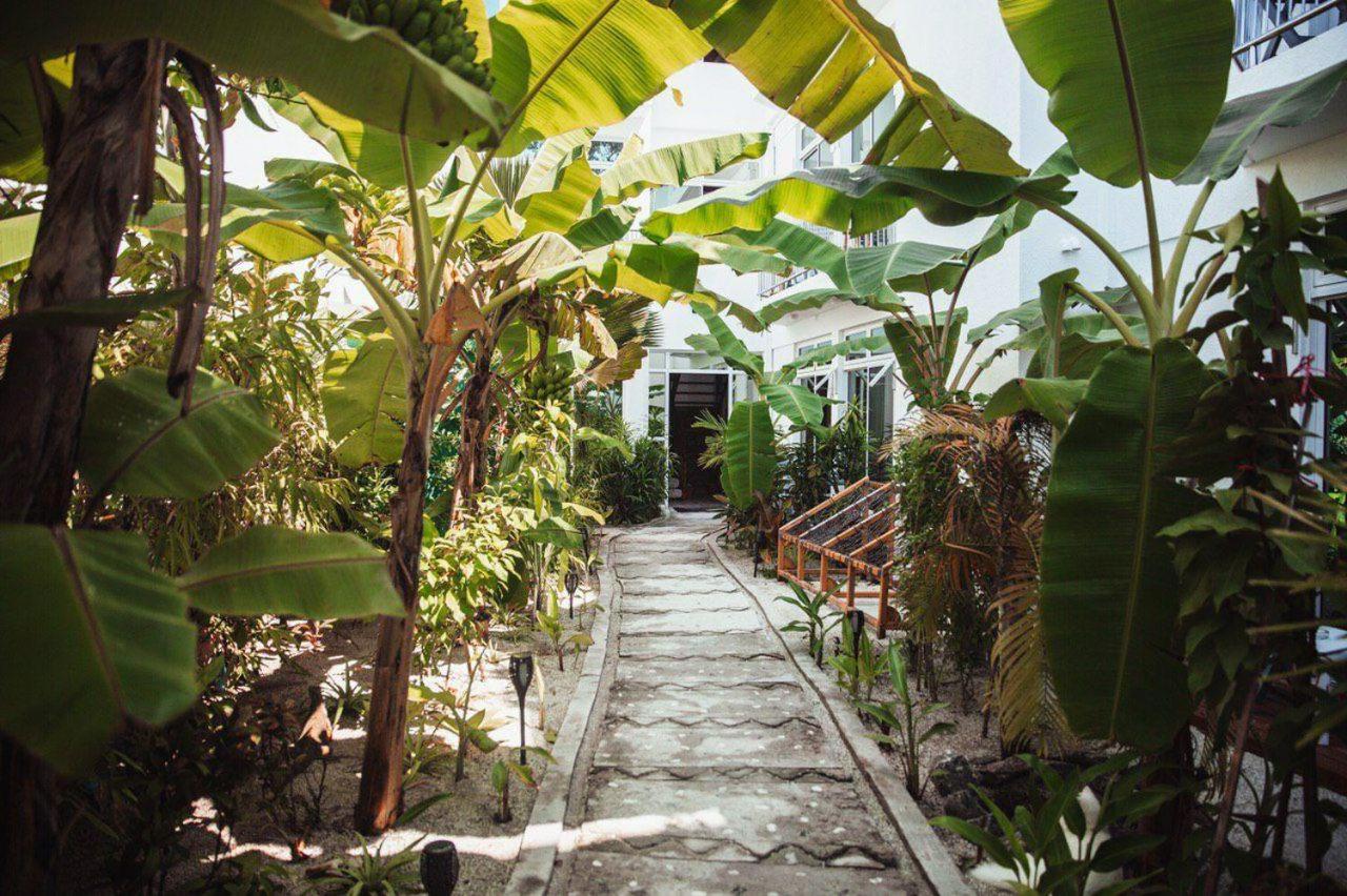 Perla Dhangethi, фото 13