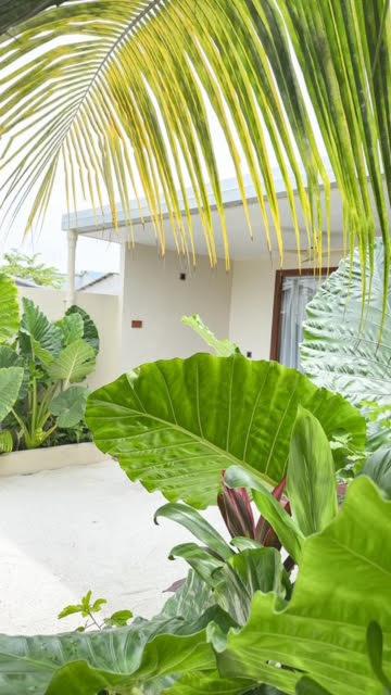 Sands Grand Dhigurah, фото 15