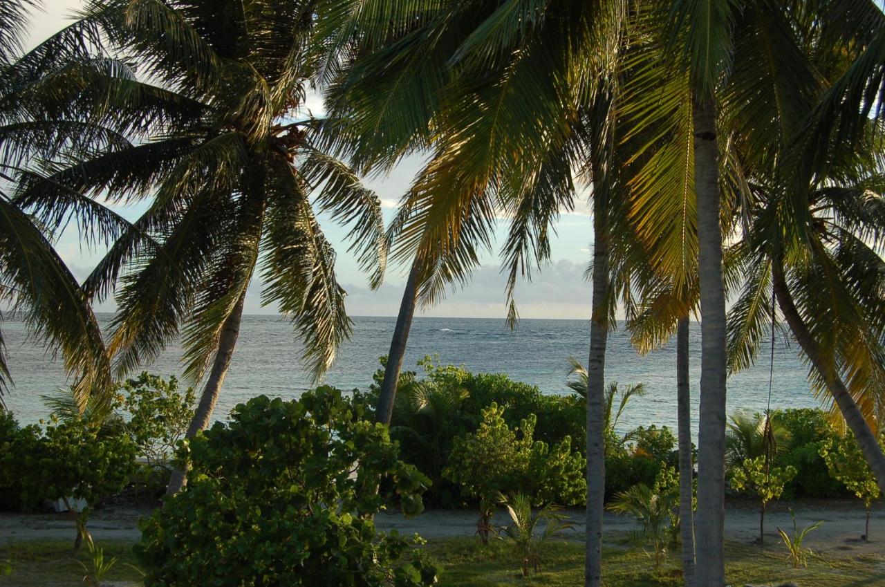 Vaali Island Escapes & Dive, фото 11