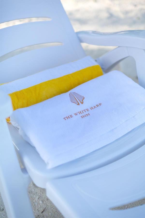 White Harp Beach GUEST HOUSE, фото 2